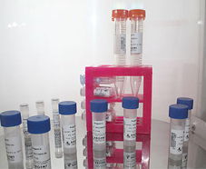 引進(jìn)美國(guó)生物工程前沿技術(shù)，打造高科技生物制品研發(fā)新生態(tài)